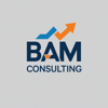 BAM CONSULTING LLC Logo