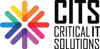 Critical IT Solutions Logo