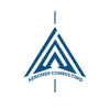 Aeronep Consulting Services Logo