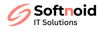 Softnoid IT Solutions Logo