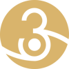 3rd Eye AI Logo