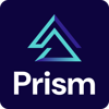 PRISM CLOUD CONSULTING INC Logo