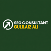 SEO Consultant: Gulraiz Ali Search Engine Optimization Expert Logo