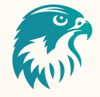 Falcon Book Publishing Logo