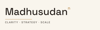 MSN ADVISORS Logo