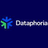 Dataphoria Logo