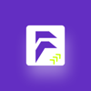 Flyeronic - A Digital Marketing Company Logo