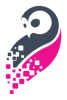Visual-Pixel Digital Ltd Logo