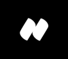 N project Logo