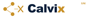Calvix Technology Solutions Logo