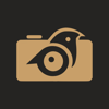 Birdie Bound Media Logo