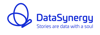 DataSynergy Logo