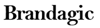 Brandagic Logo