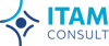 ITAM Consult Logo