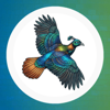 Doon Digital Logo