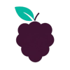 Berrynoon Logo