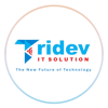 Tridev IT Solution Pvt. Ltd. Logo