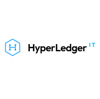 Hyperledger IT Pvt Ltd Logo