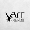 The Ace Management Logo