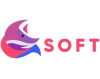 VIXENSOFTSERVICES PRIVATE LIMITED Logo