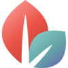 Nialto Services Logo