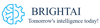BrightAI Consulting Logo