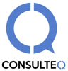 CONSULTEQ INFORMATION TECHNOLOGY Logo
