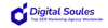 Digital Soules Logo