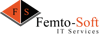 Femto-Soft IT Services Logo