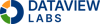 DataView Labs Logo