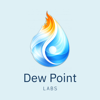 Dew Point Labs Logo