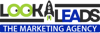 Look for Leads Logo