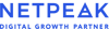 Netpeak Bulgaria Logo