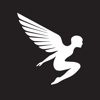 Native Branding Studio Logo