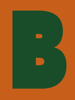 Braun Marketing Logo