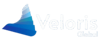 Veloris Global Logo