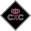 ConvergeX Connections Ltd Logo