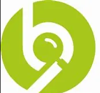 B9 Solutions Logo