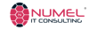 Numel IT Consulting Services Logo