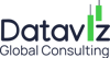 Dataviz Global Consulting Logo