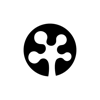 Lizzard Solutions Logo