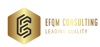 EFQM Consulting Logo