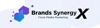 BrandsynergyX Logo