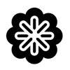 ZIDONG LLC Logo