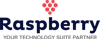 Raspberry IT Services Logo