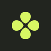 Brista Agencies Logo