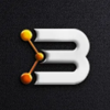 Berisco Technologies Logo