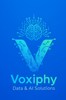 Voxiphy Data and AI solutions Logo
