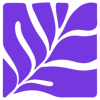 Corals Studio Logo
