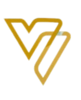 Vizion Tools Logo